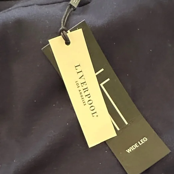 Liverpool Cadet Blue Wide Leg Pants - Picture 3 of 8